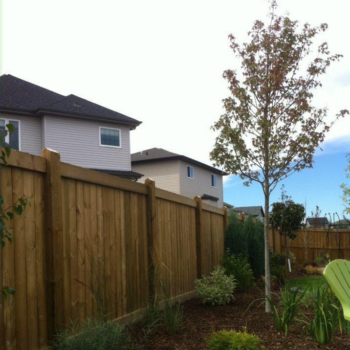 Landscaping, decks and fence photo gallery